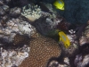 p1050611