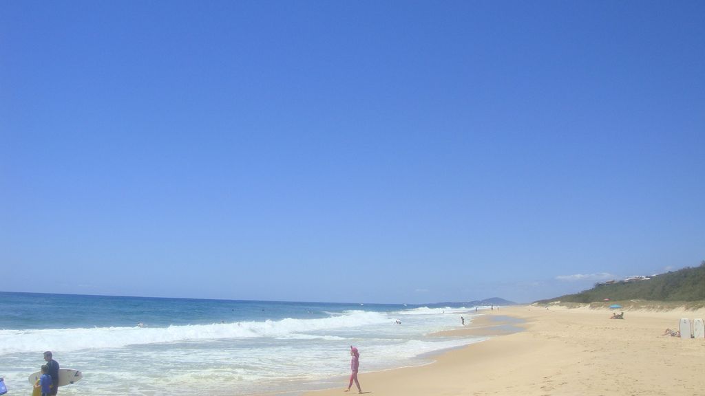 dsc05225