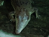 dscf9576