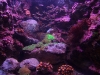dscf9581
