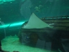 dscf9590