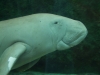 dscf9596