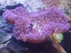 dscf9619