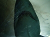 dscf9635