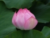dscf9721