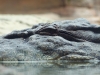 dscf9831