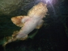 dscn0694