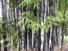dscn0775