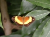 dscn0956