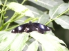 dscn0957