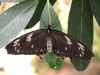 dscn0967
